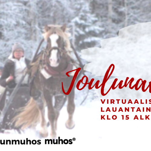 Muhoksen joulunavaus -live stream