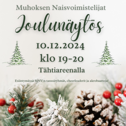 MNV:n joulunäytös