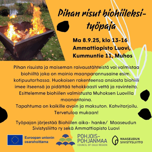 Biohiilen valmistustyöpaja