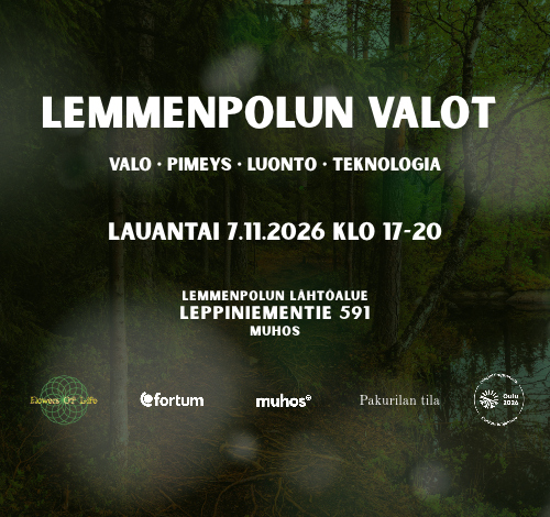 Lemmenpolun valot
